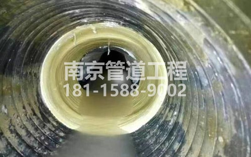 226仁河树脂修复